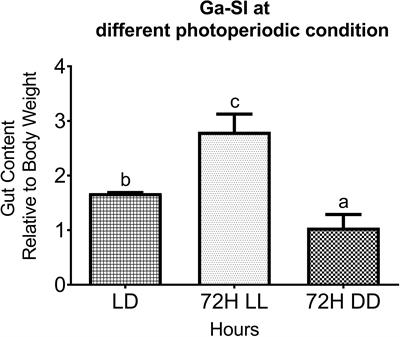 The Daily Pattern of Expression of Leptin and Ghrelin O-Acyl Transferase Under Various Lighting Schedules in the Whole Brain of Zebrafish (Danio rerio)